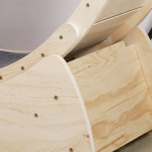 Cat Indoor Cat Exercise Wheel